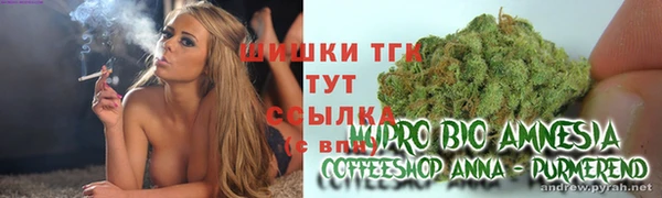 молекула духа Дмитриев