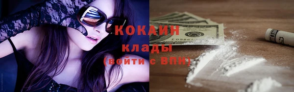 ПСИЛОЦИБИНОВЫЕ ГРИБЫ Елизово