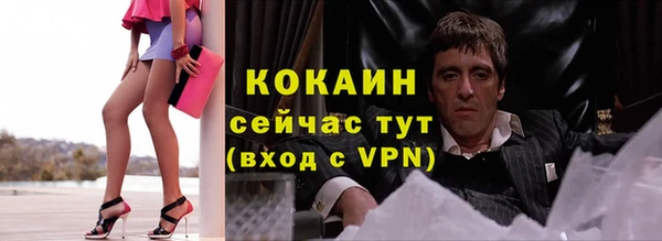 молекула духа Дмитриев