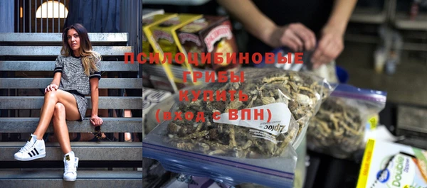 хмурый Дмитровск