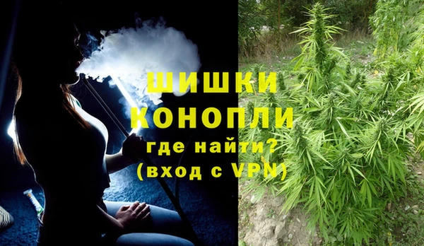молекула духа Дмитриев
