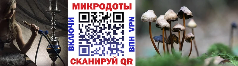 кракен как войти  купить наркотик  Белгород  Галлюциногенные грибы мухоморы 