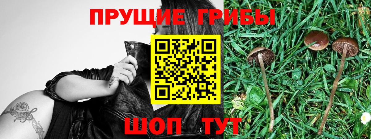 Белгород  ГАШИШ  Вход с VPN  Гашиш  APVP СК кристаллы  LSD-25  КОКАИН  Марихуана  Мефедрон   Codein 
