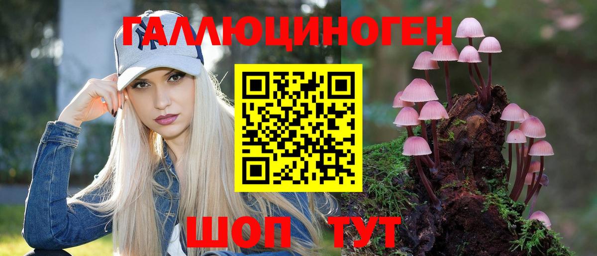 Галлюциногенные грибы Psilocybe Белгород